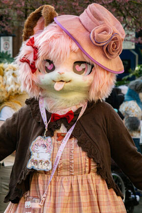 Fur Meet 2