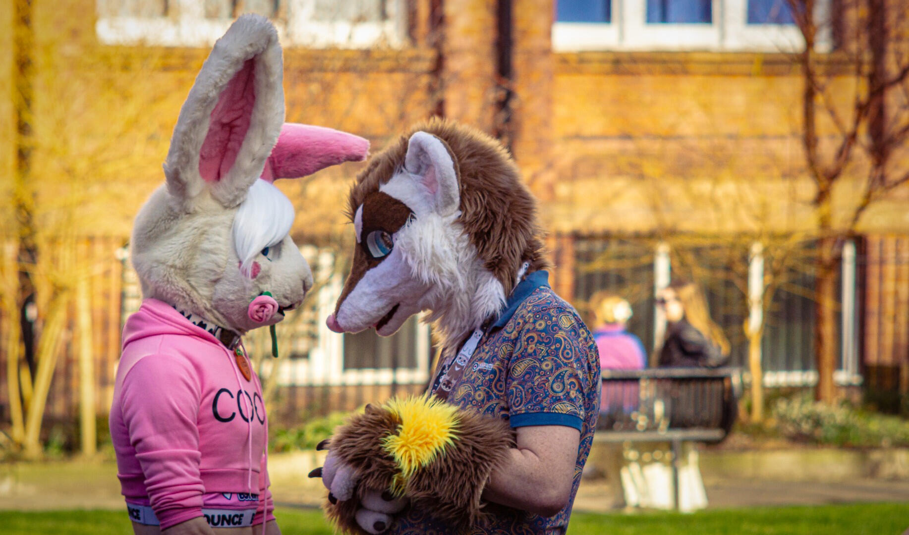 Fur Meet 1 Fur Meet 1